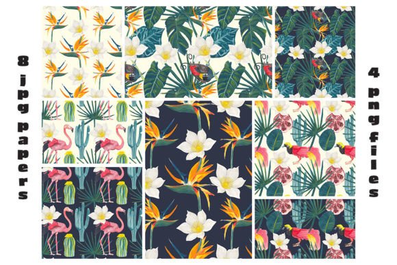 Tropical Birds and Flowers Patterns